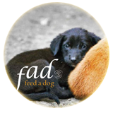 Feed a Dog